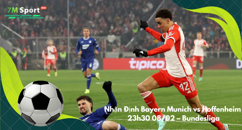 Đội hình dự kiến trước trận Bayern Munich vs Hoffenheim Đội hình dự kiến trước trận Bayern Munich vs Hoffenheim