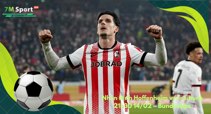 Đội hình dự kiến trước trận Hoffenheim vs Freiburg Đội hình dự kiến trước trận Hoffenheim vs Freiburg