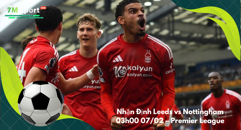 Đội hình dự kiến trước trận Leeds vs Nottingham Đội hình dự kiến trước trận Leeds vs Nottingham