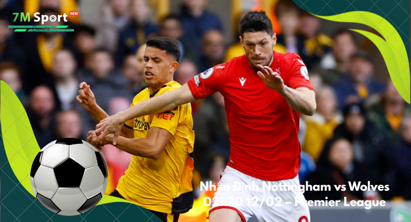 Đội hình dự kiến trước trận Nottingham vs Wolves Đội hình dự kiến trước trận Nottingham vs Wolves
